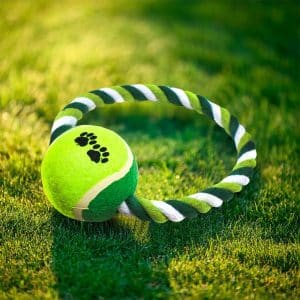 Pelota Con Cuerda Circular Para Mascota
