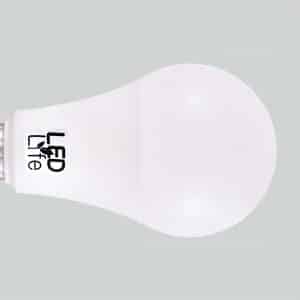 Lampara Led 14W T/Bombita Luz Cali Led Life