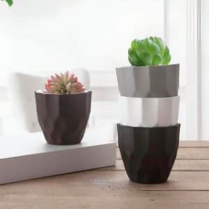 Maceta Plastica 9Cm Colores Surtidos