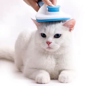 Peineta Ovalado Clean Para Mascota