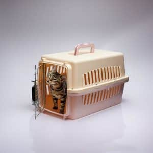 Transportador De Animales 45X27X31Cm