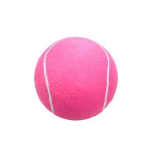 Pelota Tipo Tenis Para Mascota
