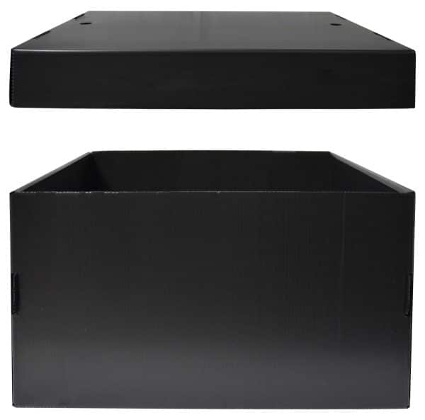 CAJA MULTIUSO ARCHIVADORA BIG BOX CON TAPA CARTONPLAST - Imagen 2