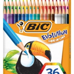 LAPICES DE COLOR BIC EVOLUTION X 36