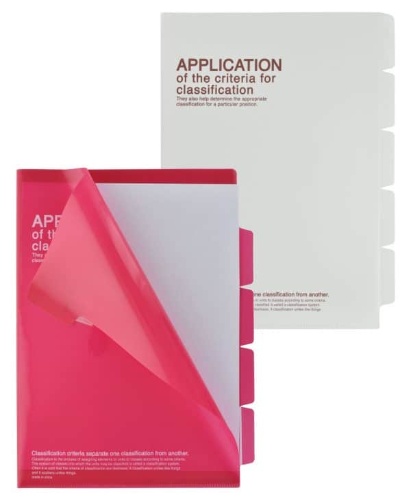 Carpeta Pvc Organizadora C/5 Reparticiones Tamaño A4 Lisa - Imagen 2