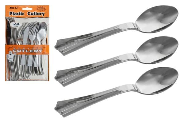 Cuchara Postre Descartable X24Pcs