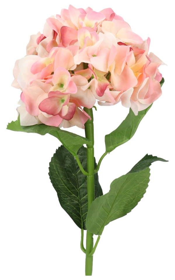 Flor Hortensia - Imagen 3