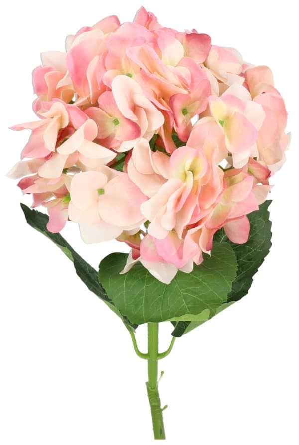 Flor Hortensia - Imagen 2