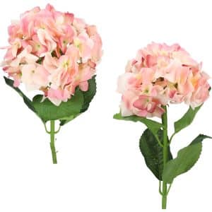 Flor Hortensia