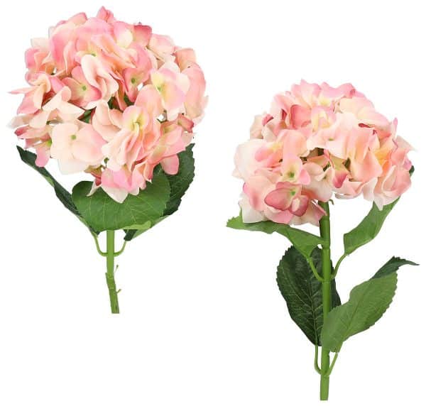 Flor Hortensia