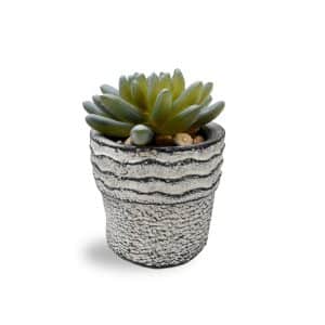 PLANTA ARTIFICIAL CON MACETA CERAMICA SUCULENTA 12X6CM 4 COLORES 27080