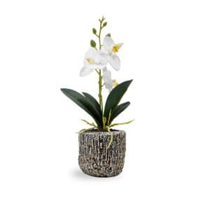 PLANTA ARTIFICIAL CON MACETA CERAMICA ORQUEDEA
