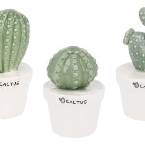 Cactus De Ceramica