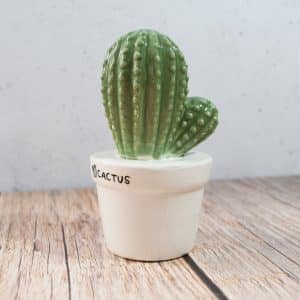 Cactus De Cerámica Con Maceta