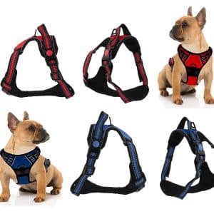 Arnes Para Perro Con Pechera Rojo