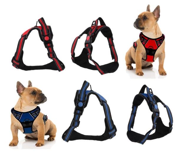 Arnes Para Perro Con Pechera Rojo