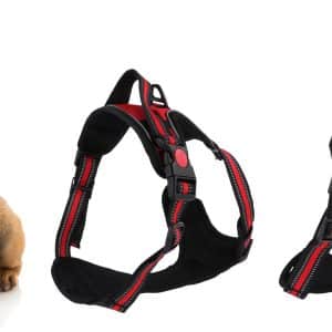 Arnes Para Perro Con Pechera
