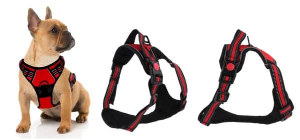 Arnes Para Perro Con Pechera