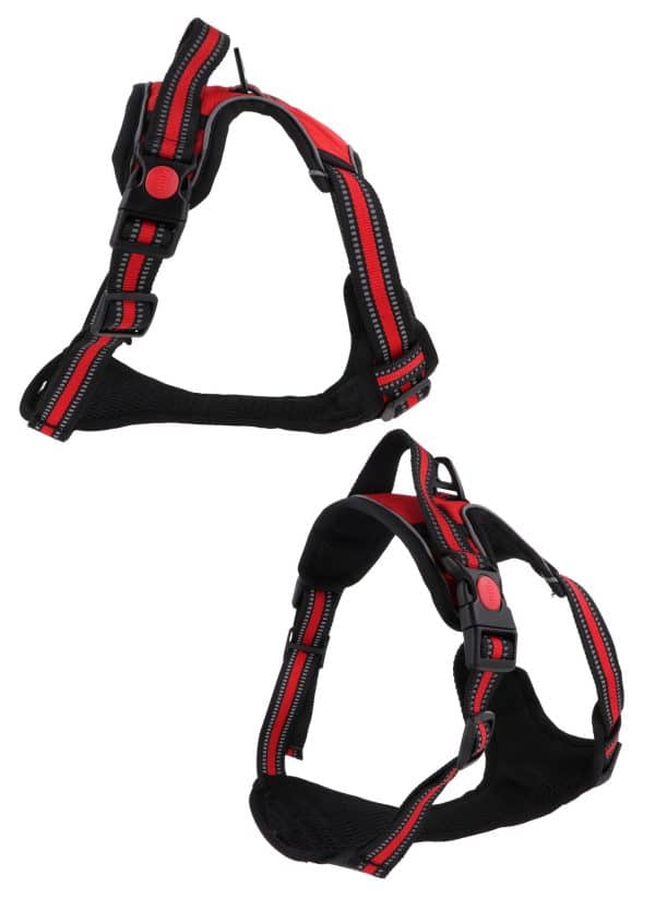 Arnes Para Perro Con Pechera - Imagen 3