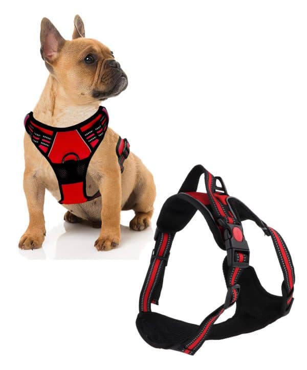 Arnes Para Perro Con Pechera - Imagen 2