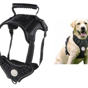 Arnes Para Perro Reforzado Con Pechera