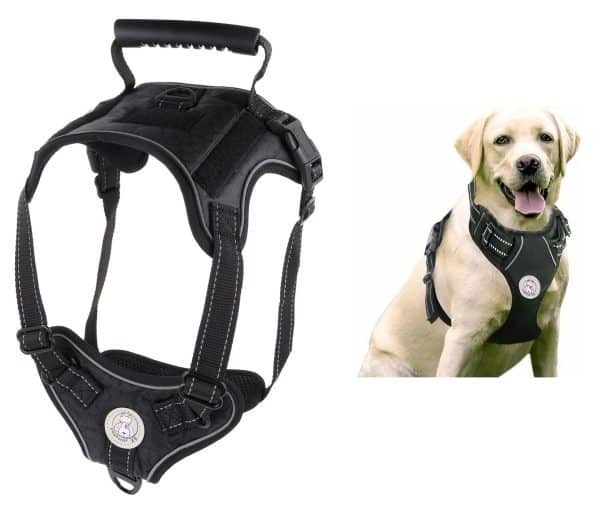 Arnes Para Perro Reforzado Con Pechera
