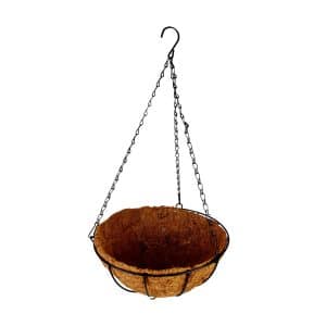 Maceta De Coco