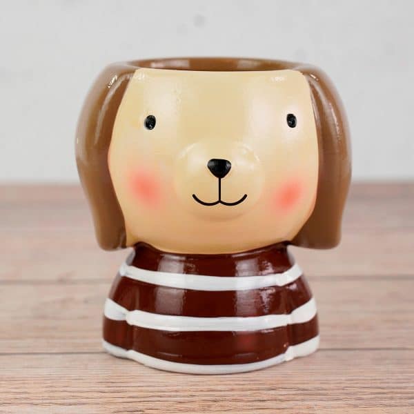 Maceta De Ceramica Con Forma