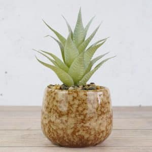 Planta Artificial Con Maceta De Ceramica Marron