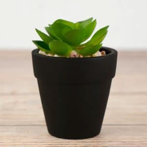 Planta Artificial Mini Con Maceta De Ceramica