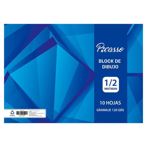Block De Dibujo 1/2 Watman Picasso 120 Gr