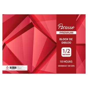 Block De Dibujo 1/2 Watman Picasso 180 Gr