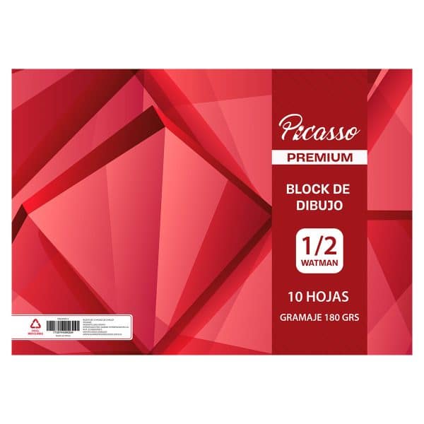 Block De Dibujo 1/2 Watman Picasso 180 Gr