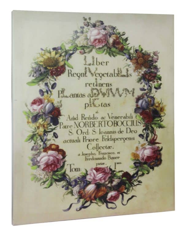 Cuadro Lienzo Con Bastidor Diseño Flores 51X40.5Cm - Imagen 3