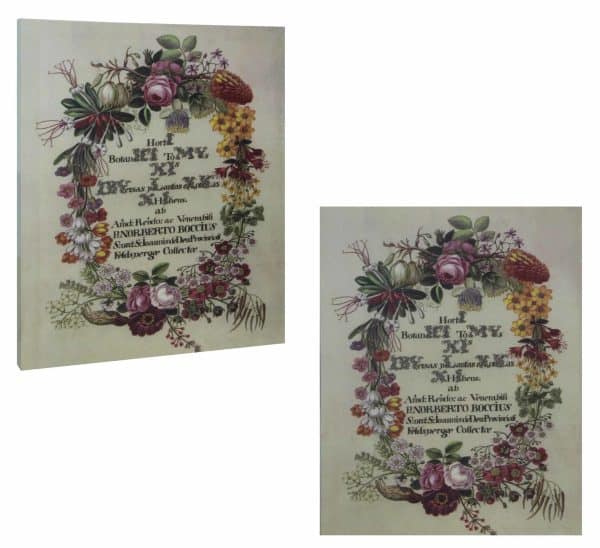 Cuadro Lienzo Con Bastidor Diseño Flores 51X40.5Cm
