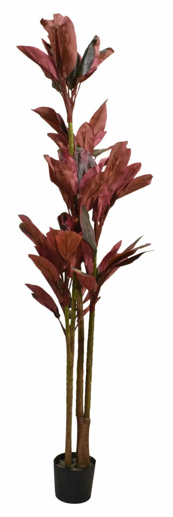 Planta Artificial Con Maceta Alto 1.80Mt Q2 M.1 - Imagen 2