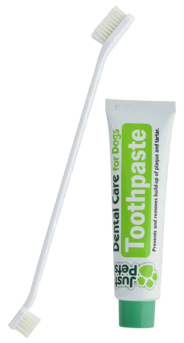 CEPILLO DE DIENTES PARA PERRO + PASTA DENTAL BLISTER 19009 - Imagen 2