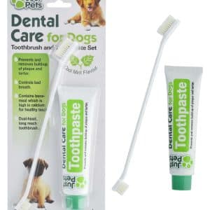 CEPILLO DE DIENTES PARA PERRO + PASTA DENTAL BLISTER 19009