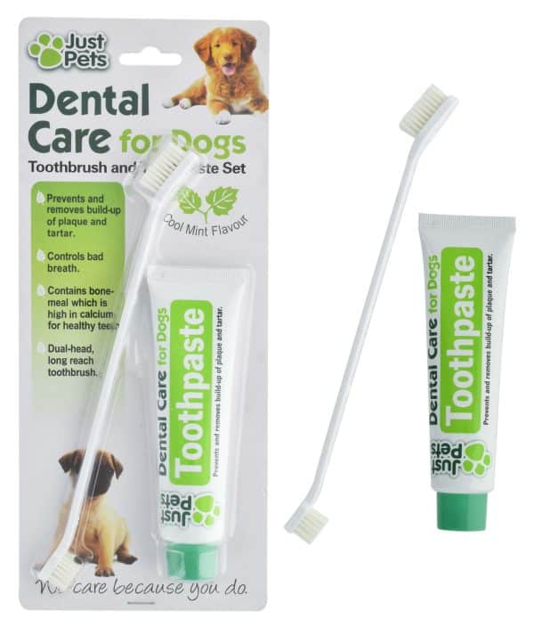 CEPILLO DE DIENTES PARA PERRO + PASTA DENTAL BLISTER 19009