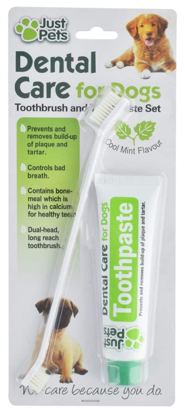 CEPILLO DE DIENTES PARA PERRO + PASTA DENTAL BLISTER 19009 - Imagen 3